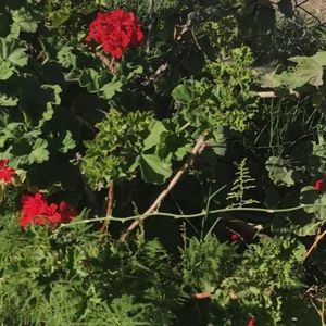 Meet your Posher, Kaylee